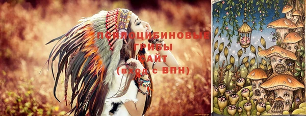 гидра Алексеевка
