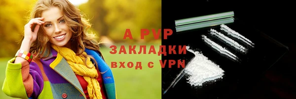 шишки Алексин