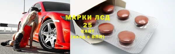 шишки Алексин