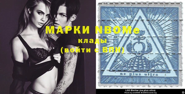 шишки Алексин