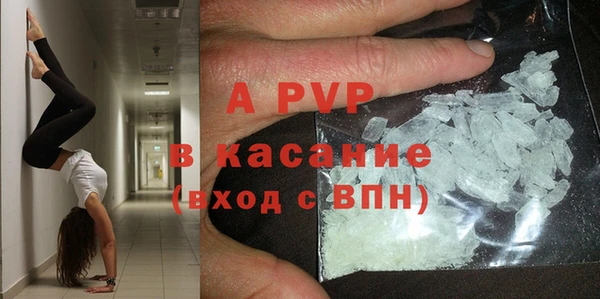 гидра Алексеевка