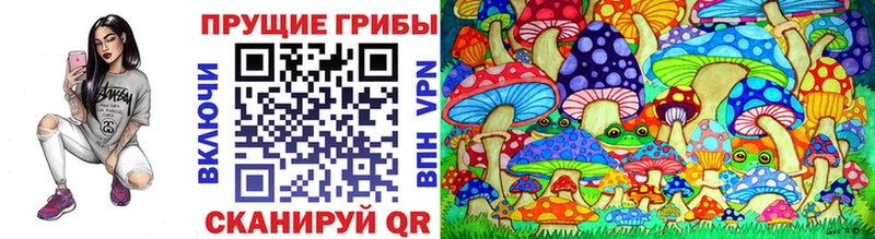 цена наркотик  Зверево  Галлюциногенные грибы Psilocybine cubensis 